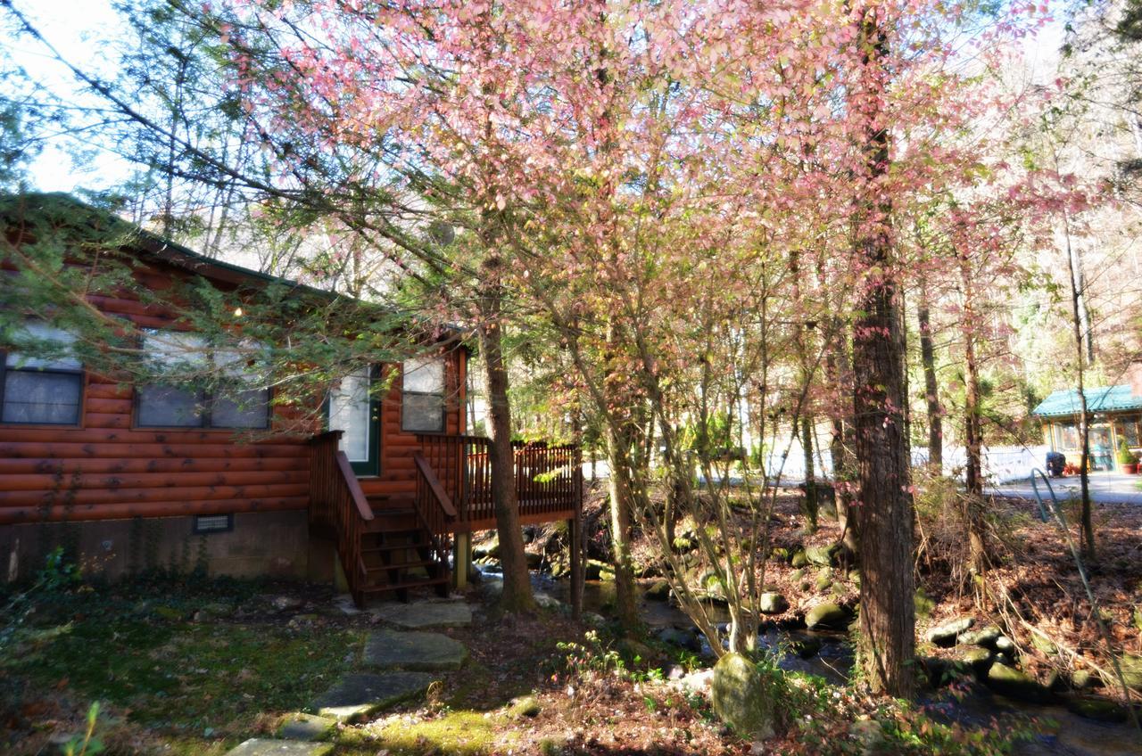 Chalet Village Little Creek Cabin 빌라 외부 사진